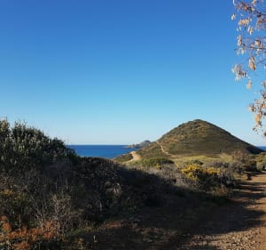 Boucle chemin des Eucalyptus, depuis Frati et Parata - Ajaccio - 2