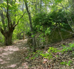 Pic et grotte d'Anjeau depuis la cascade de la Vis - Saint-Laurent-le-Minier - 2