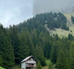 Tour de Roche Parnal par le Col du Freu - La Roche-sur-Foron - 2