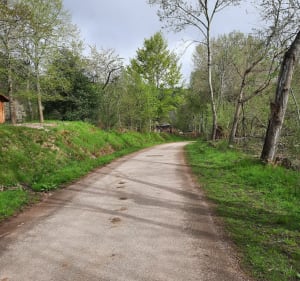 Autour d'Aubure par le Schlueck - Aubure - 2