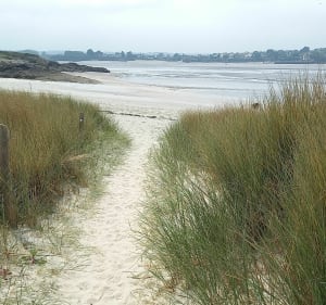 Wilde kant van Lancieux vanaf het strand van Saint Sieuc - Lancieux - 2