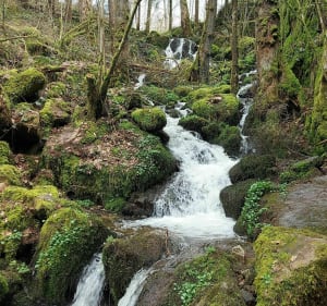 Saut du Bouchot par la Hazelle Basse - Vagney - 3