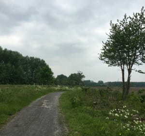 La voie verte de la Scarpe à vélo entre Fenain et Orchies - Fenain - 2