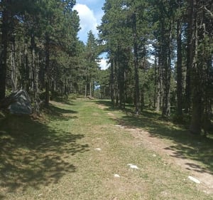 Pla de Barrès - domaine des Estanyols - Bolquère - 2