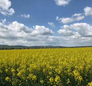 Vallée de la Seille à VTT au départ de Lesménils - Lesménils - 2