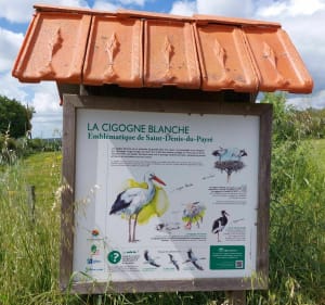 Balade à St-Denis-du-Payré - Saint-Denis-du-Payré - 2