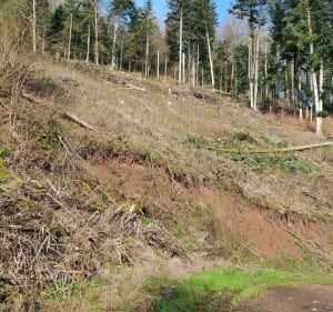Ferme auberge du Bruckenwald à VTT - Denise - 5