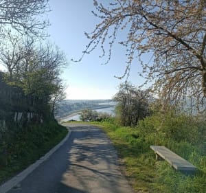 Balade au Saint Jean le Thomas avec vue de Mont Saint Michel - Saint-Jean-le-Thomas - 3