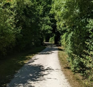 Bord de Marne entre Noisiel et Vincennes - Cyril - 3