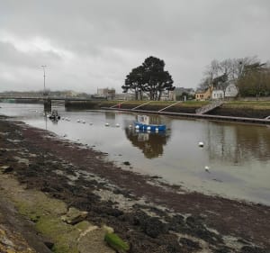 Un samedi à Vannes - Vannes - 4