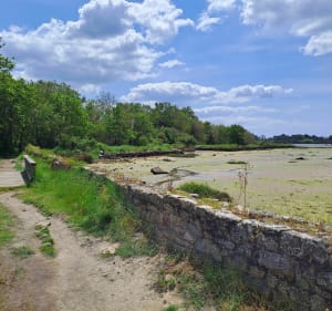 Le petit tour de la Ria vers Saint-Guillaume - Plouhinec - 2