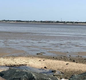 De La Rochelle vers Châtelaillon-plage en longeant le littoral - La Rochelle - 2