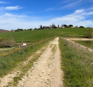 Le tour des deux Lacs, par Verfeil et Montastruc - PASCAL - 3