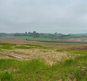 Balade autour de Delettes par Mont de Dohem - Herve - 3