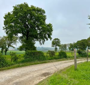 Balade autour de Delettes par Mont de Dohem - Delettes - 2
