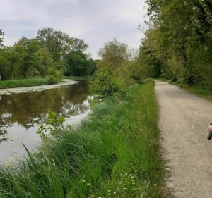 Le long de l'Ille à Saint-Grégoire - Saint-Grégoire - 2