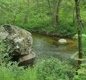 Sur les hauteurs de Sarras par Bruas et Marliet - GHISLAINE - 3