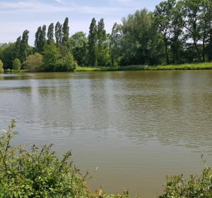 Boucle à vélo au sud de Nantes aux Sorinières - Nadège - 5