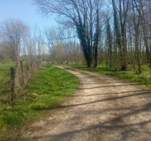 Arlay, Ruffey s/Seille en longeant la Seille - Maryline - 3