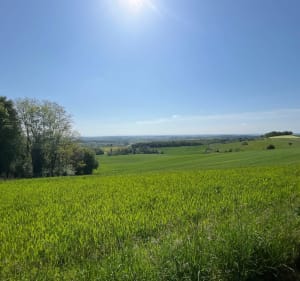 Balade sur La Valleroyse - Valleroy-aux-Saules - 2