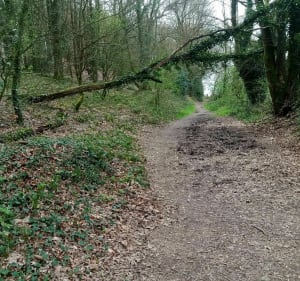 Locminé et sa campagne en passant par le Tarun - Locminé - 2