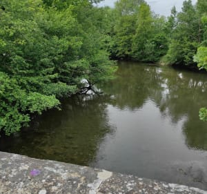 La plaine des Sorgues et le canal de Carpentras - Vedène - 2