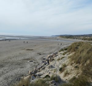 Balade à Hardelot-plage - Cécile - 5