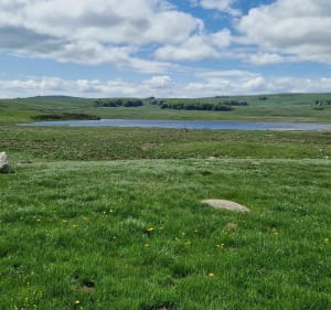 Tussen meren en rivieren op het hoogplateau van Aubrac - Nasbinals - 2