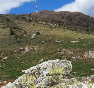 De Neulos-piek vanaf de Ouillat-pas. - Laroque-des-Albères - 2