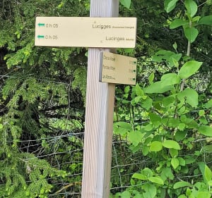 Petite balade à Lucinges depuis Bonne - Bonne - 2