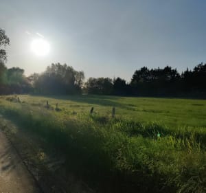 Direction Merlimont - Marles-sur-Canche - 2