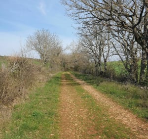 Un dimanche sur le Causse du Comtal - Montrozier - 2
