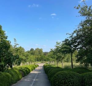 Entre parcs, jardins et forêts au départ du RER Robinson - France - 3