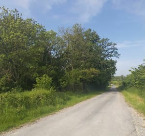 A vélo autour de Château-Thierry - FRANCOISE - 5