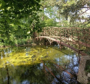 Lillebonne, du Parc des Aulnes à l'abbaye du Valasse - Lillebonne - 2