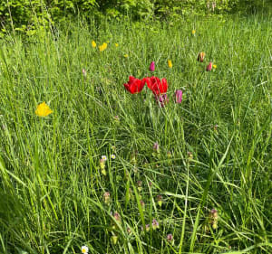 Sortie au bois de Vincennes - Bruno - 2