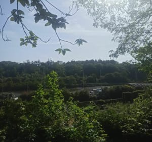 La campagne et le bord de la rivière de Saint-Martin-des-Champs - Saint-Martin-des-Champs - 2