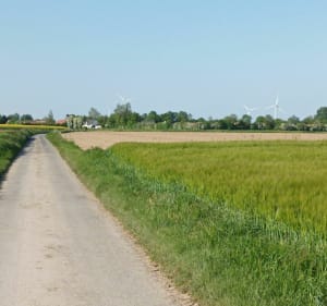 Allée des Tilleuls et Route de l'Avesnois à vélo - Givenchy-le-Noble - 2