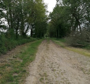 Boucle autour de St-Georges de Montaigu à VTT - Montaigu-Vendée - 2