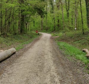 Wandel rond Meroux bij de Bêtes Noires - Meroux-Moval - 2