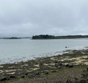 De Larmor Baden aux Sept Îles en passant par Locquimel - Larmor-Baden - 3
