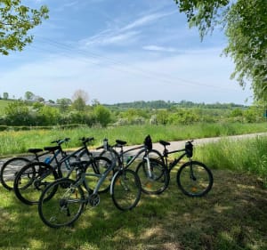 Forges les Eaux - Neufchatel en famille - PERINNE - 3