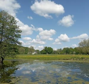 Balade des deux Parcs dans la Vallée du Commerce - Céline - 3
