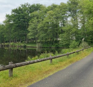 Joli circuit vélo par plusieurs villages au départ de Mazerolle - Estelle - 5