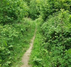 Olhain : bois, campagne et château - Hervé - 3