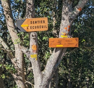 Sentiers de l'écureuil à Rouffiac-d'Aude - Rouffiac-d'Aude - 2