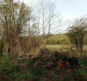 Le passage aux loups - Hélène - 4