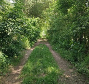 Boucle entre Plessier-Rozainvillers et la vallée de l'Avre - Le Plessier-Rozainvillers - 4