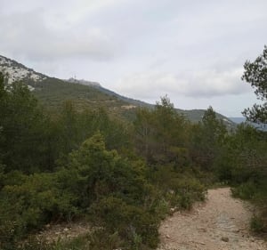 Sommet du Baou et grotte de Croupatier - Évenos - 2