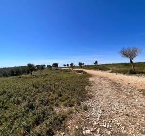 Balade dans la chaîne de l’Estaque - Adeline - 3